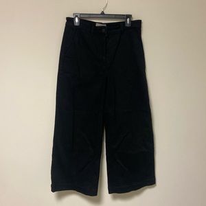 Everlane extra wide leg pants